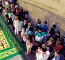 ALFOMBRAS ELCHE (9)