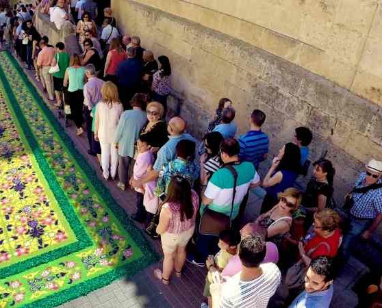 ALFOMBRAS ELCHE (9)