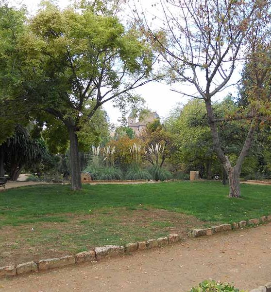 Elche-de-la-sierra-parque