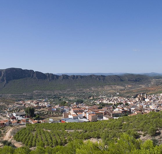 Elche-de-la-sierra-vistas