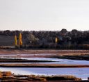 Laguna-Salinas-de-Pinilla