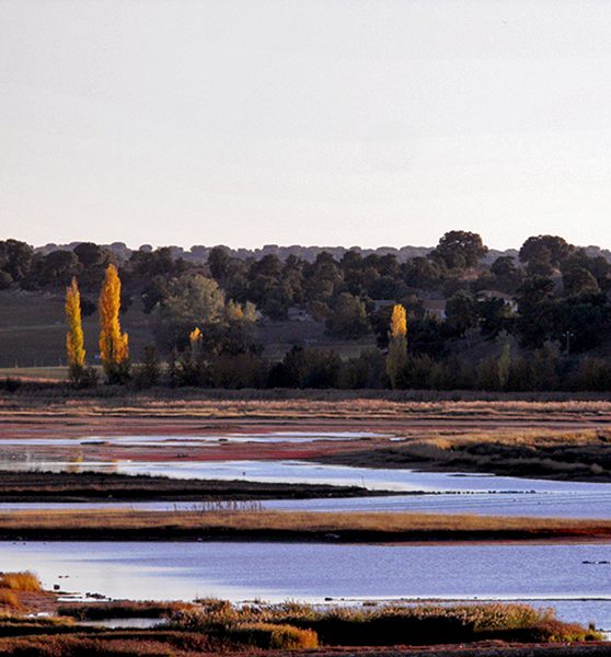 Laguna-Salinas-de-Pinilla