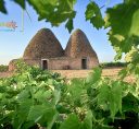 Las Ventas de Alcolea_Villarrobledo