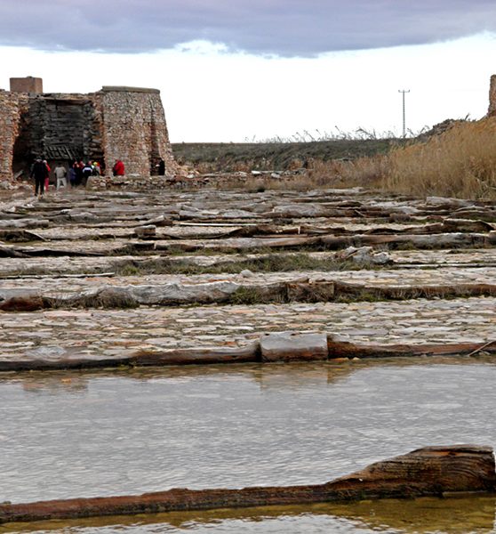 Salinas-de-Pinilla