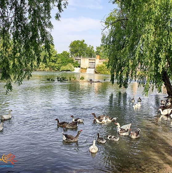 Villalgordo del Júcar