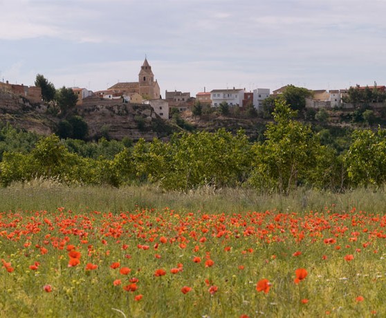 Abengibre panorámica