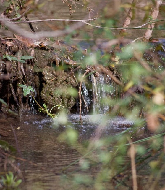 bogarra_03_turismo_albacete