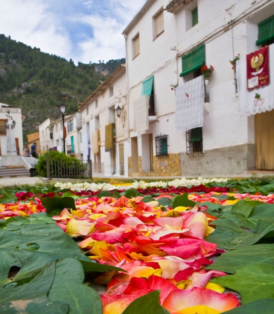 bogarra_alfombras_flores_corpus