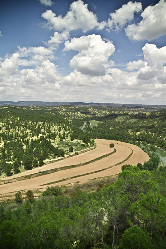 casasibañez-campo