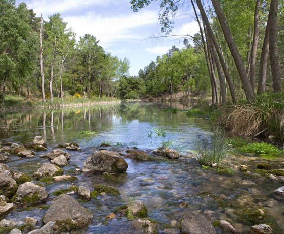 cotillas_02_turismo_albacete