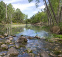 cotillas_02_turismo_albacete