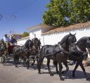 feria-albacete-turismo1