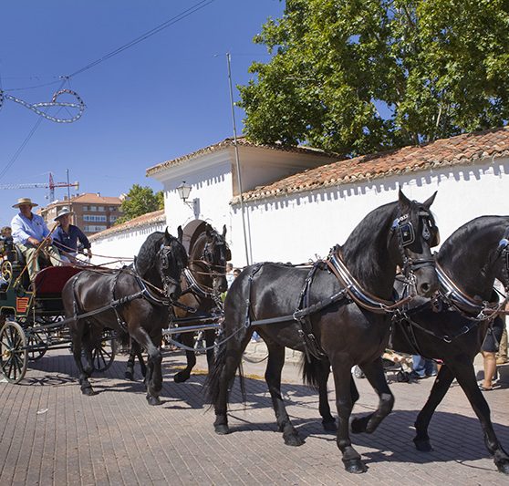 feria-albacete-turismo1