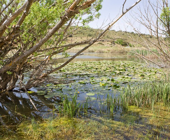 masegoso_02_turismo_albacete