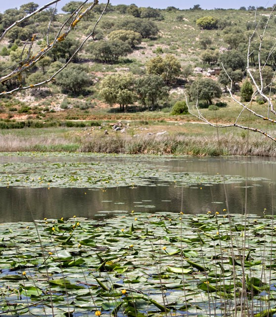 masegoso_03_turismo_albacete