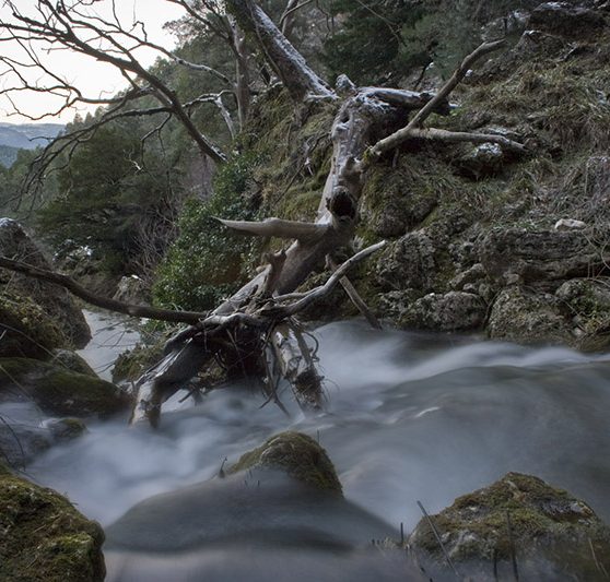 nacimiento_rio_mundo_Riópar02