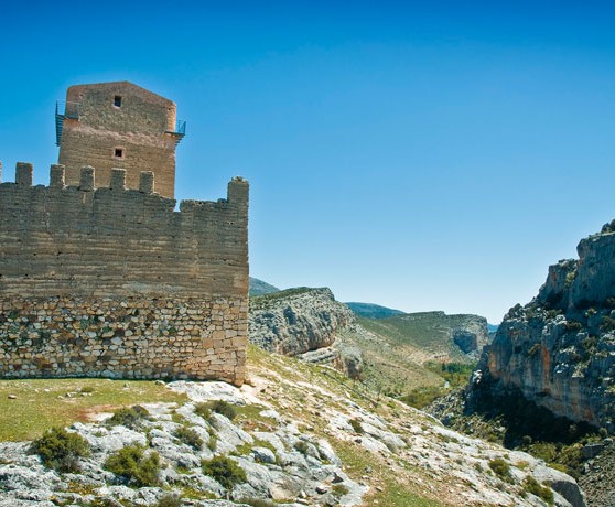 nerpio_castillo_del_taibilla