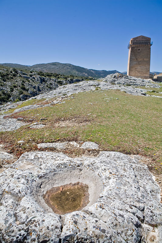 nerpio_castillo_del-Taibilla