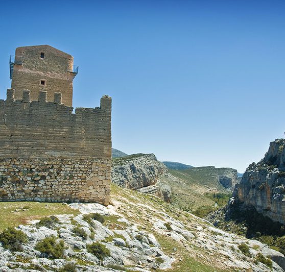 nerpio_castillo_del_taibilla