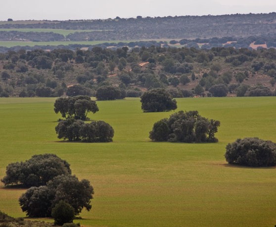 ossa_de_montiel_08_turismo_albacete