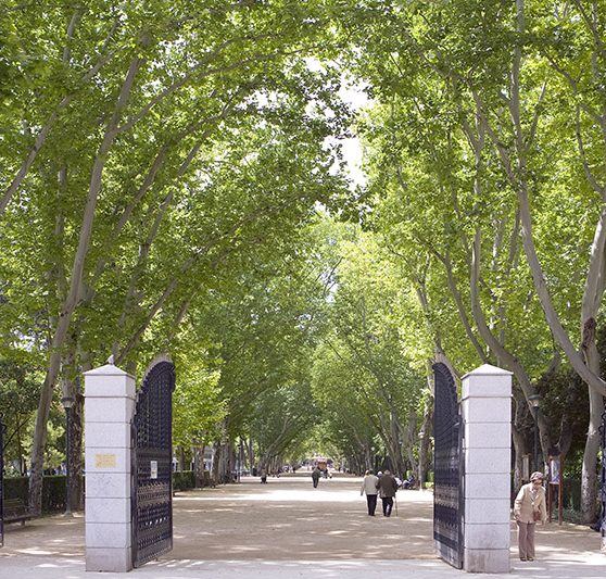 parque abelardo sanchez