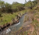 paterna_de_madera_río_madera