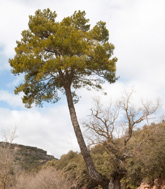 penascosa_02_turismo_albacete