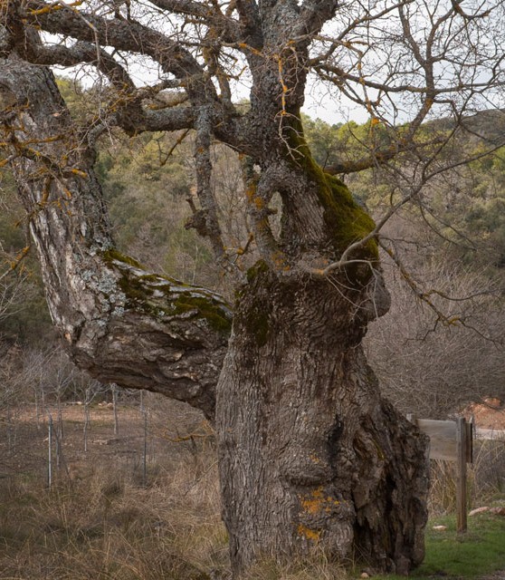 penascosa_03_turismo_albacete