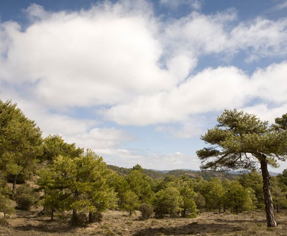 penascosa_04_turismo_albacete