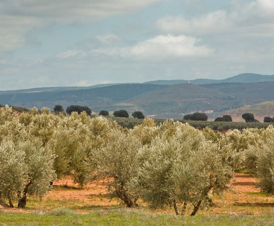 povedilla_01_turismo_albacete