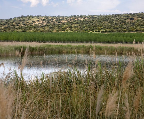 robledo_01_turismo_albacete