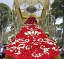 semana santa albacete (3)