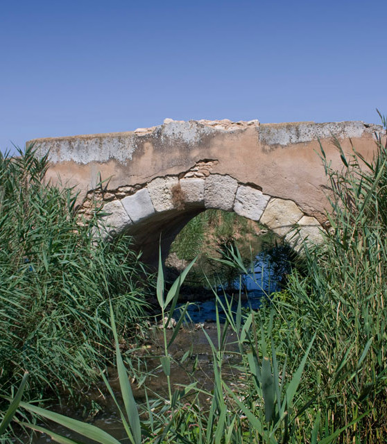 tarazona_de_la_mancha_04_turismo_albacete