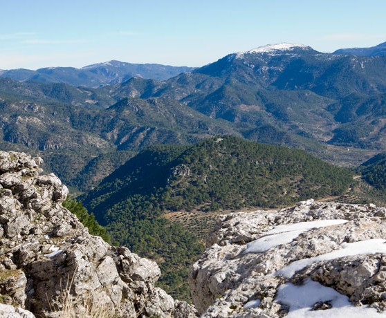 villaverde_de_guadalimar_03_turismo_albacete