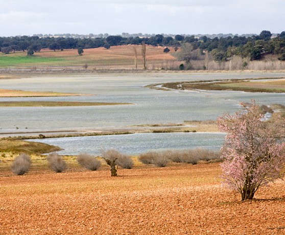 viveros_01_turismo_albacete