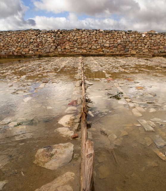 viveros_02_turismo_albacete