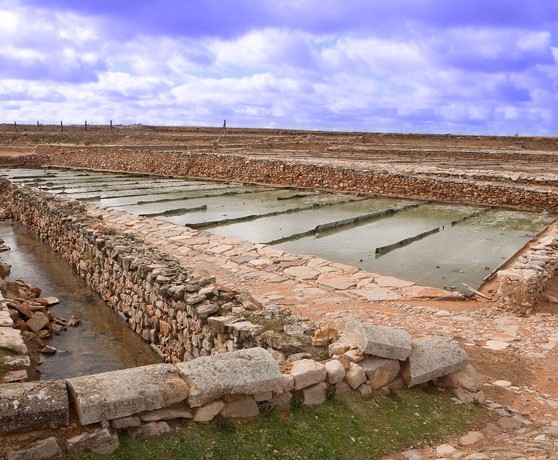 viveros_03_turismo_albacete