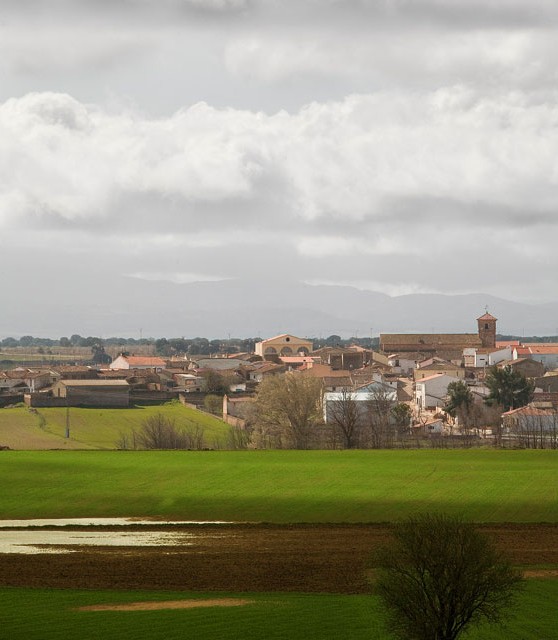 viveros_06_turismo_albacete
