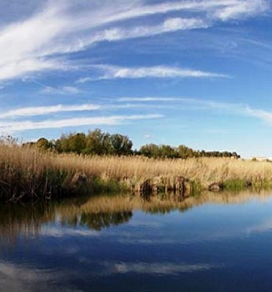 Laguna-de-Alboraj
