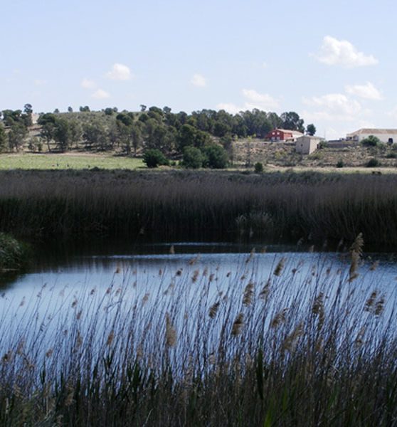 laguna-de-alboraj (2)
