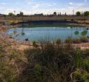 Jardín-Botánico6