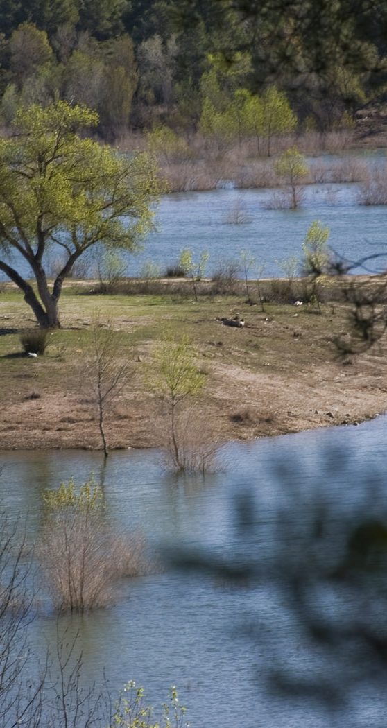 ruta agua Hellín (1)