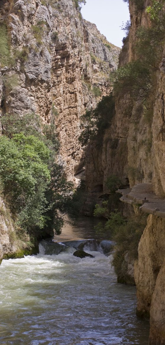 ruta agua Hellín (4)