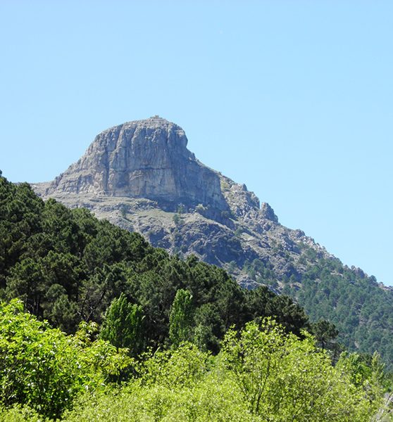 piedra-del-cambrón