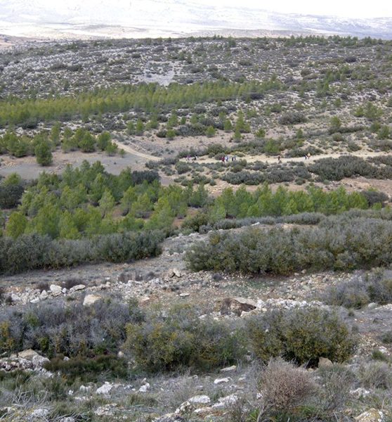 RUTA YACIMIENTOS ARQUEOLOGICOS