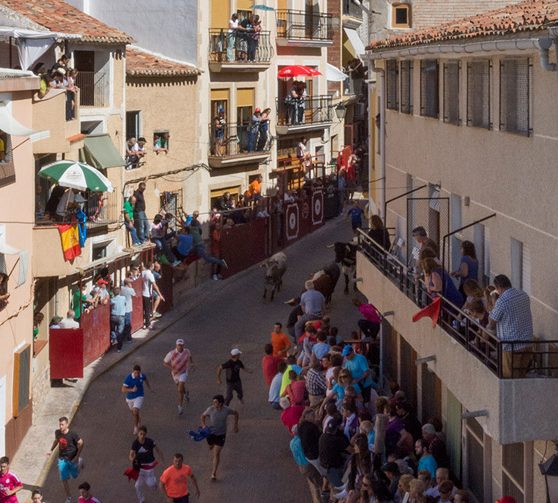 encierros-elche-de-la-sierra (1)